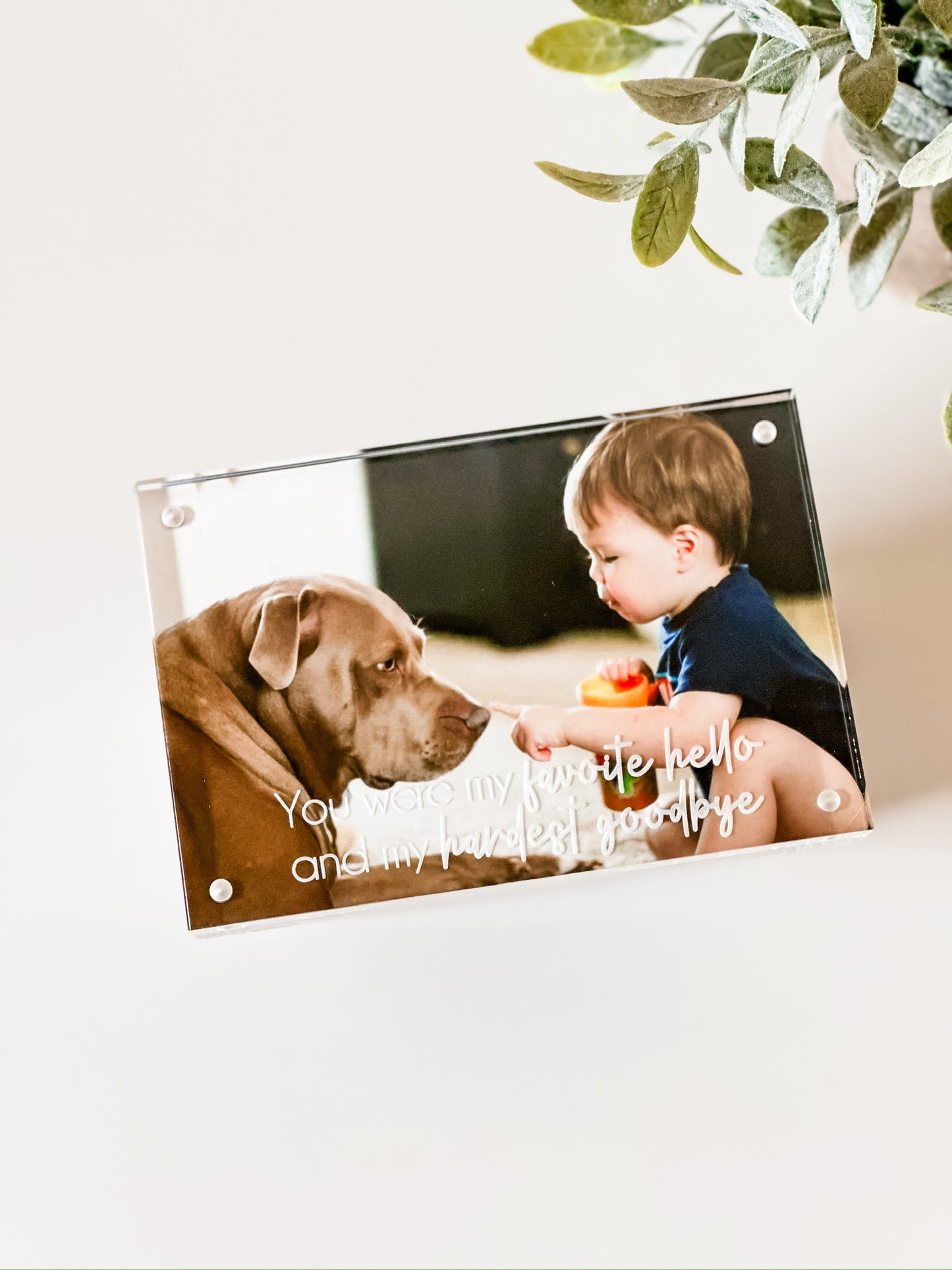 Pet Memorial Acrylic Picture Frame