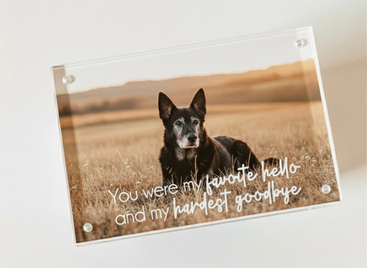 Pet Memorial Acrylic Picture Frame
